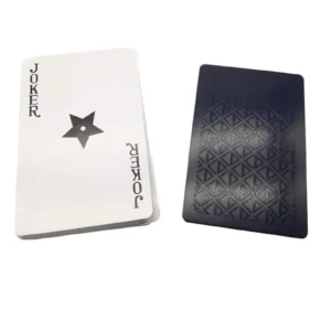christian dior poker set